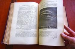 教育成长分享心得体会：从不及格到年级前十的转变秘诀