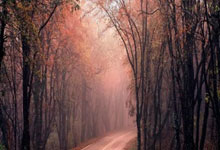 教育故事演讲稿3分钟写作指南:轻松掌握技巧,打动听众心灵