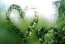 教育故事演讲稿3分钟写作指南:轻松掌握技巧,打动听众心灵