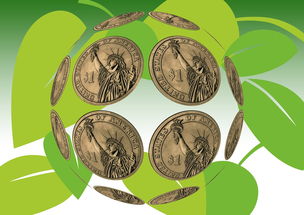 教育与成长的例子:如何平衡学业与个人发展,在逆境中绽放奇迹 教育与成长的例子:如何平衡学业与个人发展,在逆境中绽放奇迹